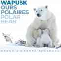 BOOK WAPUSK POLAR BEAR - 2d Prize for Nature Book at New York 2019 International Photography Awards.

Adventure in the Far North Canada in winter, with Polar Bears and their cubs coming for the very first time from their dens, photographed in extreme cold conditions (-57° Celsius)